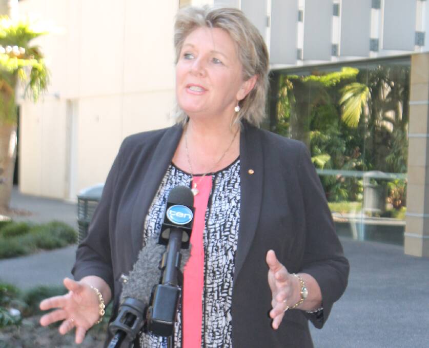 CAMPAIGN LAUNCHED: Hetty Johnston addresses media outside the Logan City Council chambers on Wednesday morning.