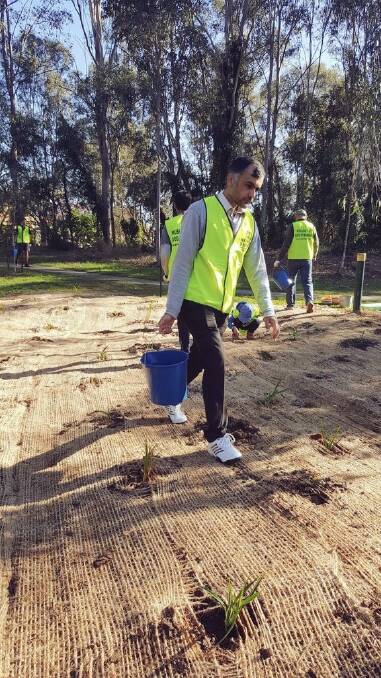 Ahmadiyya community tree planting effort
