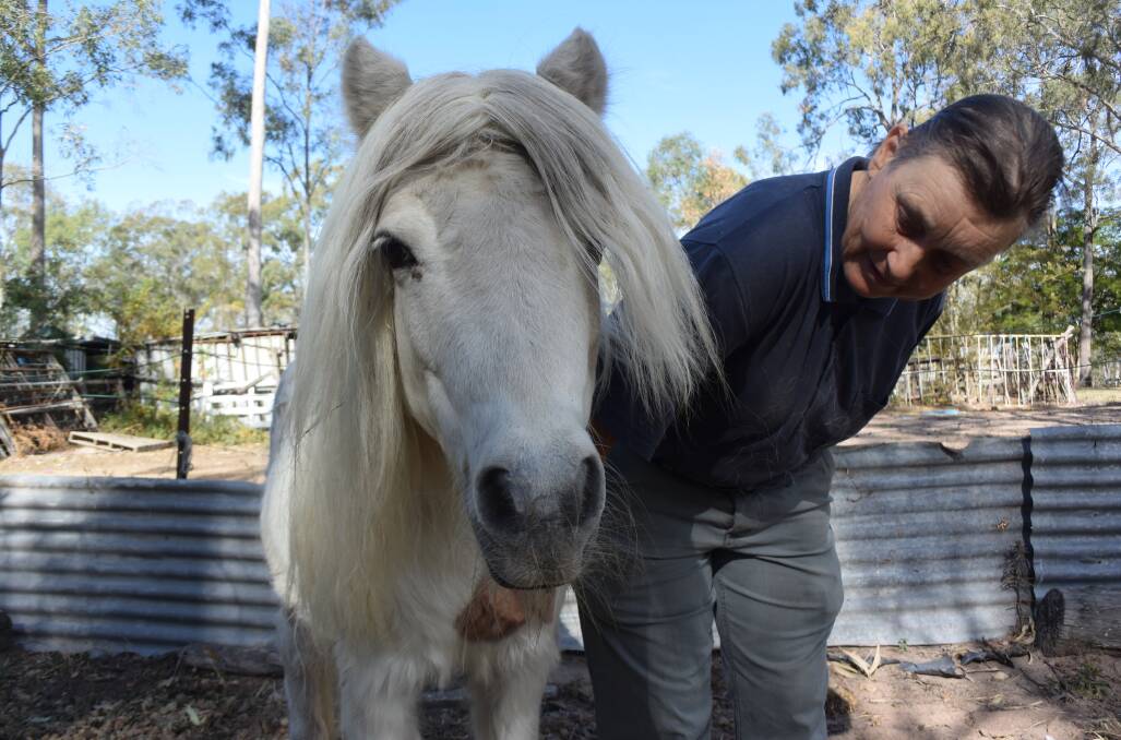 TRUST: Linda Mear with one of the ponies she uses in therapy with victims of sexual violence 
