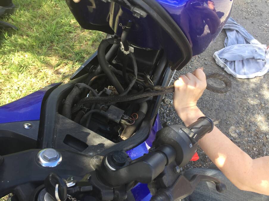 FOUND: A common tree snake is removed from a motorcycle at Chambers Flat. Photo: Cheryl Goodenough