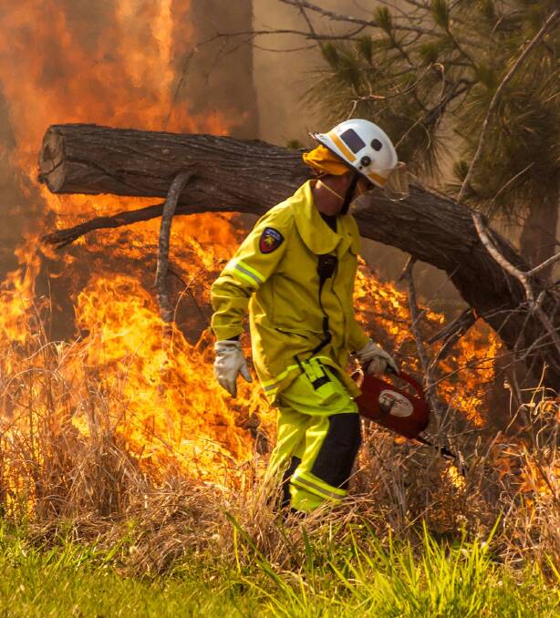 BACK-BURNING: A firefighter conducts back-burning to help contain a bushfire. Photo: Jeanette March