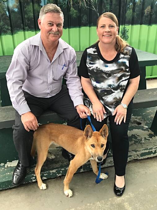 RE-HOMED: Logan the dingo will have a new home at O'Reilly's Rainforest Retreat. He is pictured with Logan City Council pest services program leader Andrew Mayfield and councillor Jennie Breen. Photo: Supplied