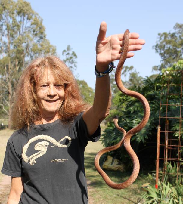 Snake catcher Alma Searle recommends people to walk away, if possible,  if they encounter a snake.