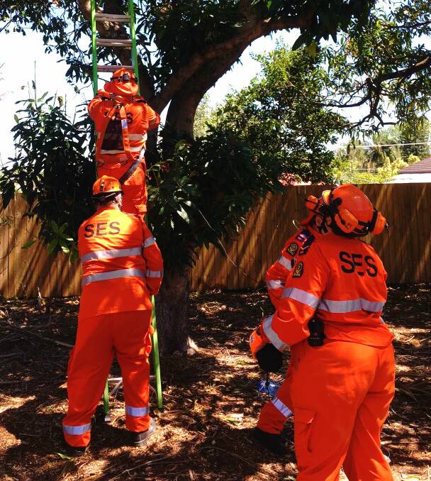 EMERGENCY: The Logan SES crew attending to a damaged property at Rochedale in 2015, where a roof became entangled in a tree. Photo: Contributed.