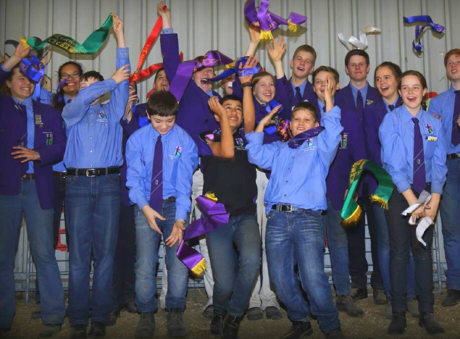 Calvary Christian College's Livestock Show Team have taken home more than 190 ribbons this year, showing the college's Suffolk Stud and raising $5000 for Australian farmers. Photo: Supplied
