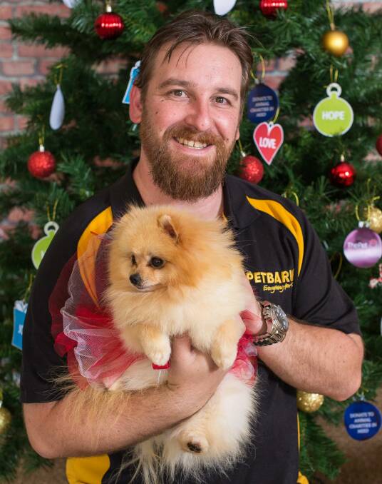 PETS: Logan Petbarn Manager Ryan McKenzie hopes to raise funds to save the lives of  animals in need this Christmas.