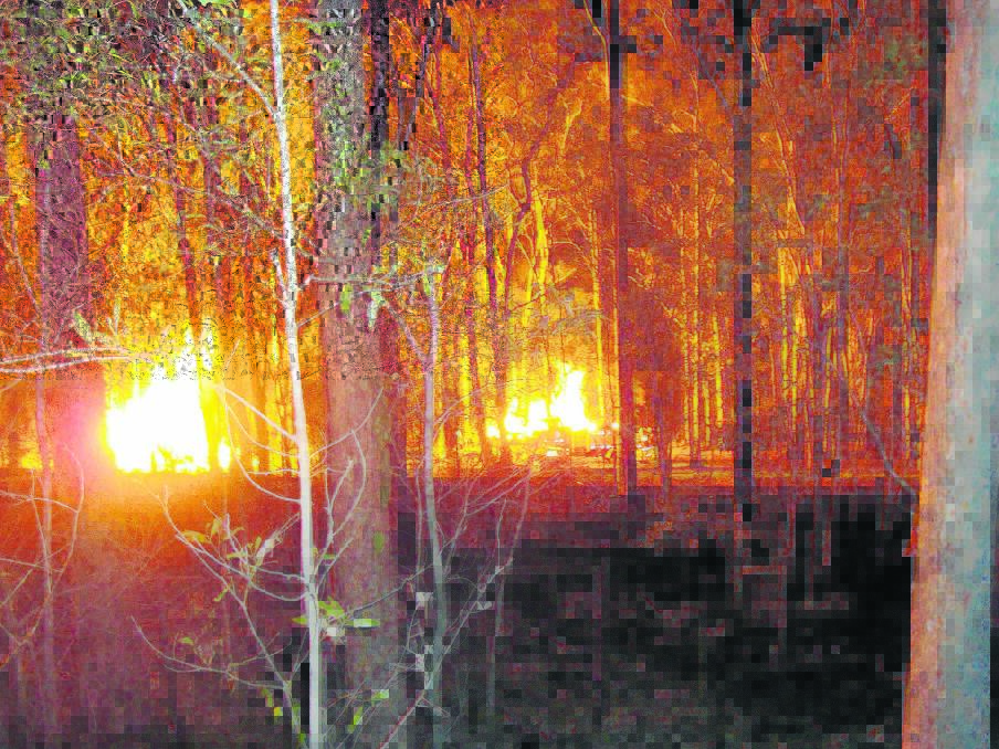 A backburn is done on the Suffolk family's property in Jimboomba recently.