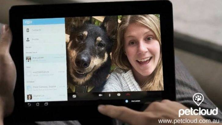 Petcloud allows you to Skype your furry loved one while you are away. Photo: Supplied