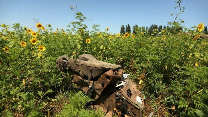 Seeds of hope: Part of the MH17 wreckage among sunflowers in Ukraine. Photo: Kate Geraghty