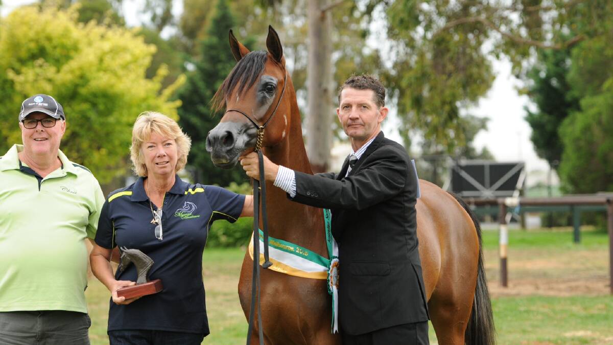 Chris and Doreen Tresize and trainer Jason Hodgins with Marwans Jewel in the Crown.