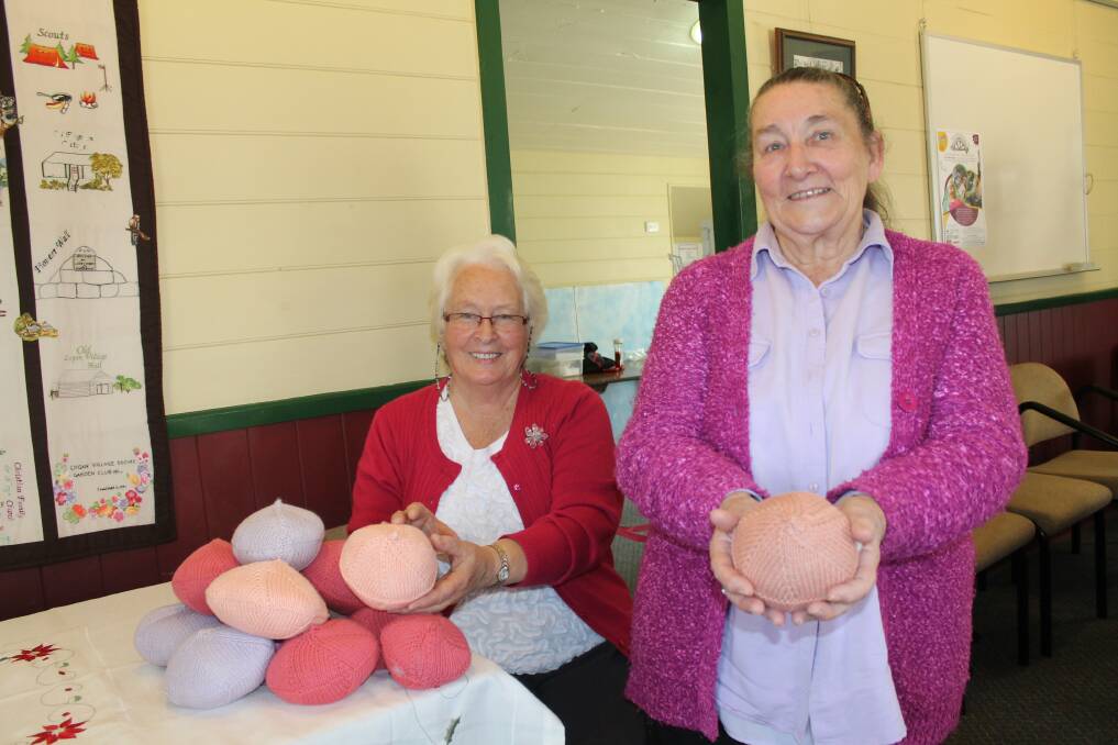 Logan Village Craft Cottage members Pat Baggs and Joan Hill proudly display some of the knitted knockers for breast cancer patients the group has been making.