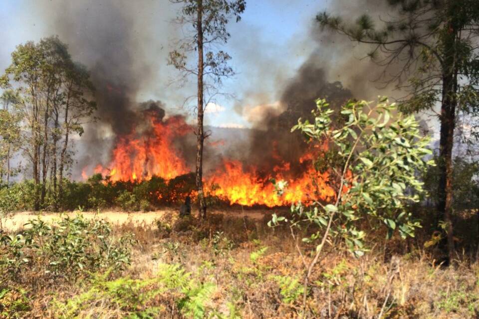 This photo posted by Logan Village Rural Fire Brigade on Facebook shows the blaze at Yarrabilba on Monday.