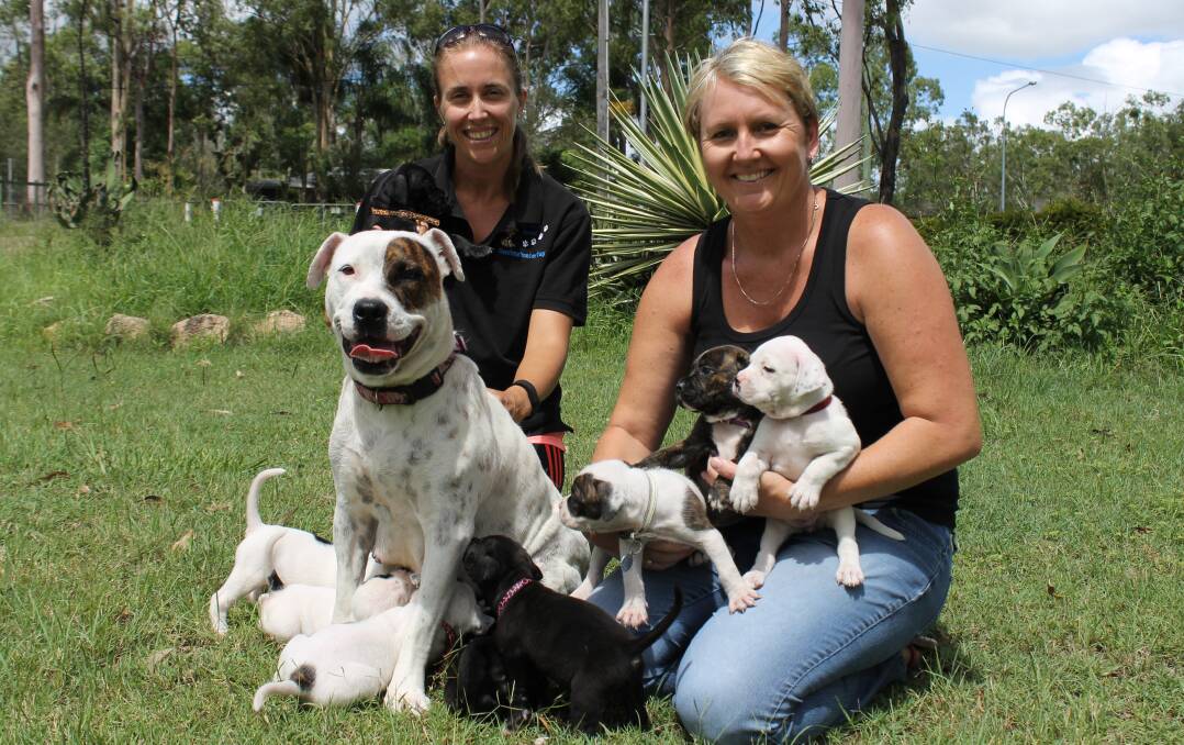 Furkids Animal Rescue's Paquita Walburn and foster carer Carlie Marshall with rescue dog Scarlette and her 10 puppies.