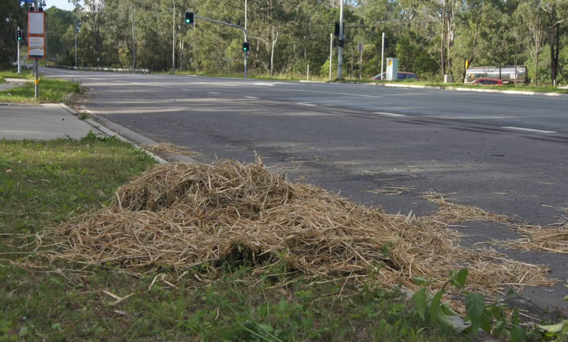 REMNANTS: The hay can be seen along the Mount Lindesay Highway from Round Ridge Road to Millstream Road. Photo: Georgina Bayly