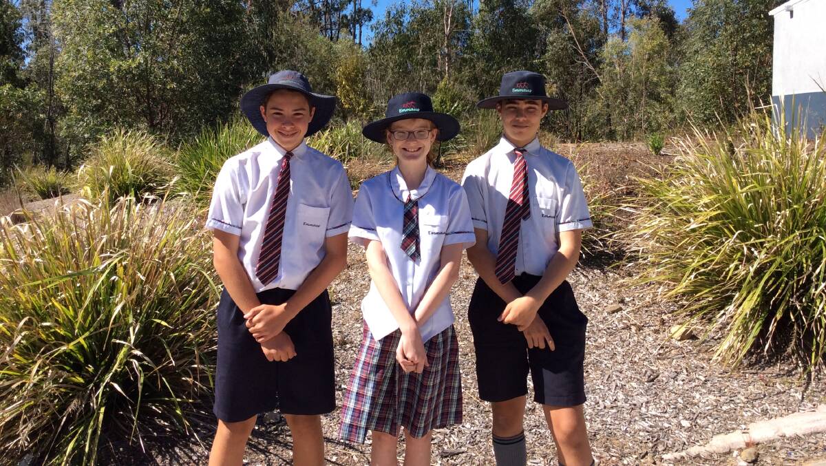 Edward Schuller, year 9, Emily Crittenden, year 7, and Eric Slattery, year 9, all received high distinction levels. Photo: Supplied