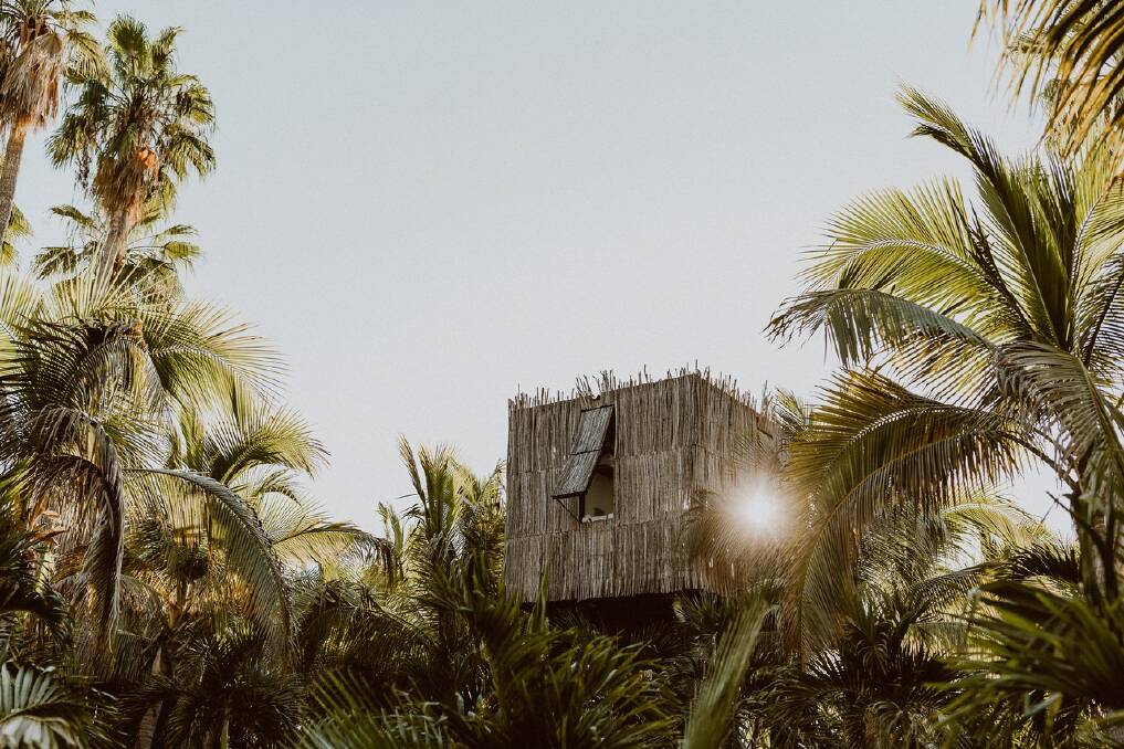 Acre treehouse. Picture by Gina & Ryan Photography Acre treehouse. Picture by Gina & Ryan Photography