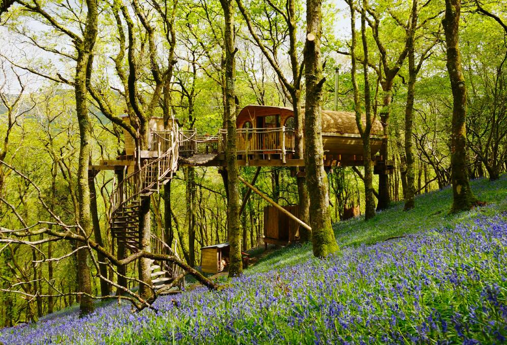 Lofty treehouse. Picture by Living Room Lofty treehouse. Picture by Living Room