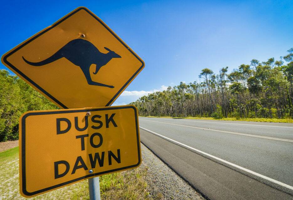 Police have urged caution around dusk and dawn as more wildlife has been killed on local roads in recent months.