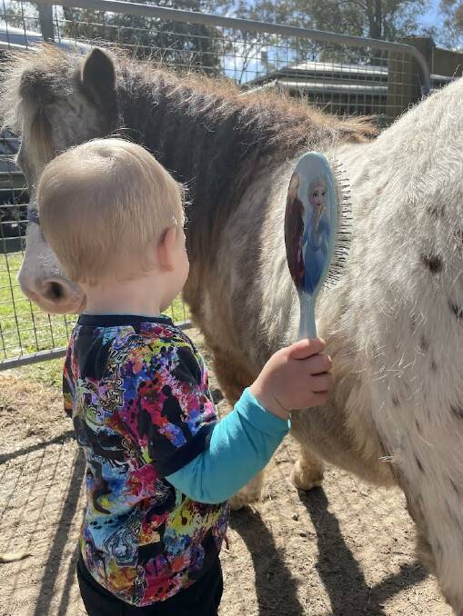 Children are given plenty of time with the animals. Picture supplied.