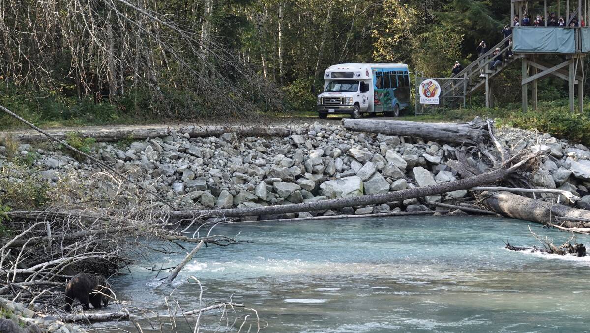 A bus and viewing platform in the Homalco First Nations territory. A bus and viewing platform in the Homalco First Nations territory.
