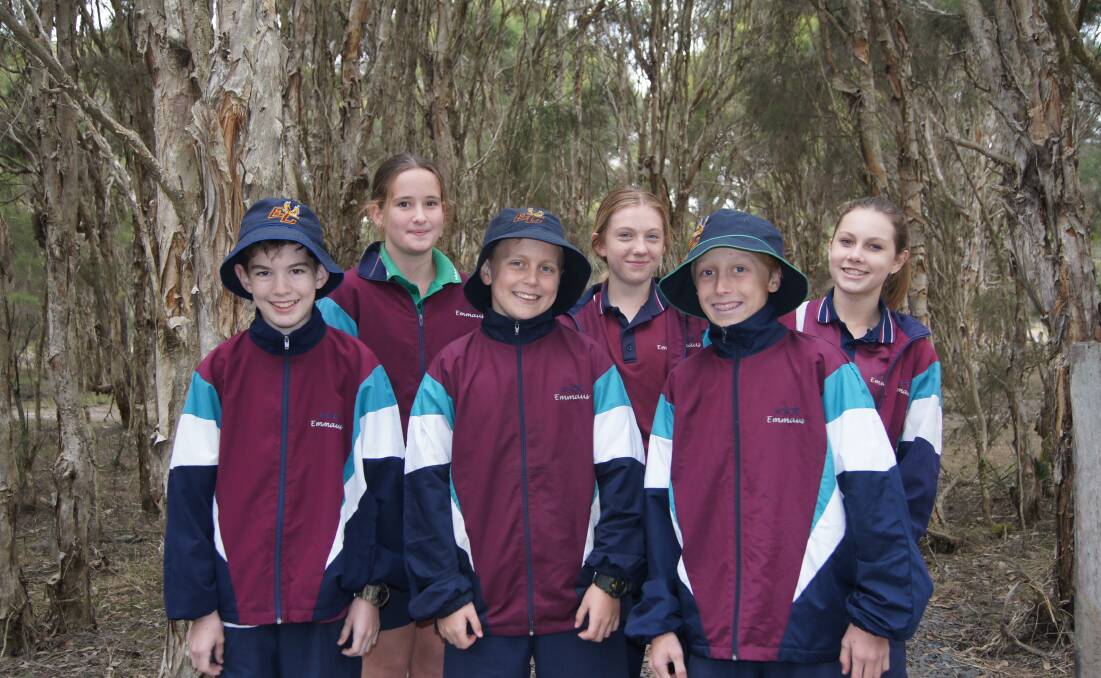 NATURE: Year eight Emmaus College students Claye Wearing, Ashtyn Nobbs, Izaak Davidson, Candice Cousins, Lachlan McKellar and Charlotte Brown explored the Meleluca Irbyana tree reserve at Emmaus College. Photo: Jacob Wilson.