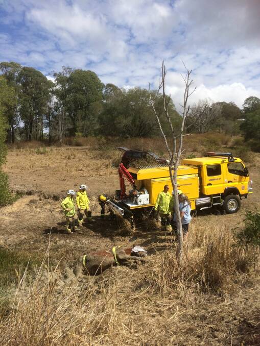 Greenbank Rural Firefighters used their new animal rescue truck at Cedar Vale this afternoon. Photo: Greenbank Rural Fire Brigade