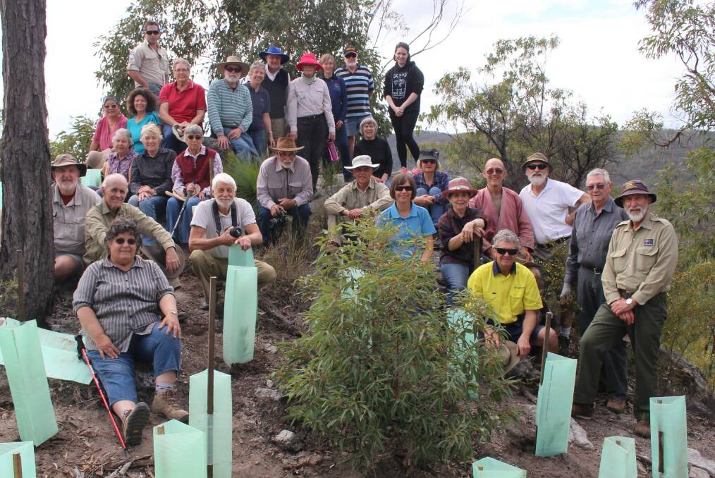 GREEN WARRIORS: Members of the Logan River branch of Native Plants Queensland won the organisation category in the 2018 Logan Eco Awards. Photo: Logan Council