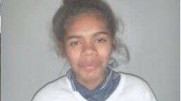A 14-year-old girl was reported missing from Logan Reserve.
