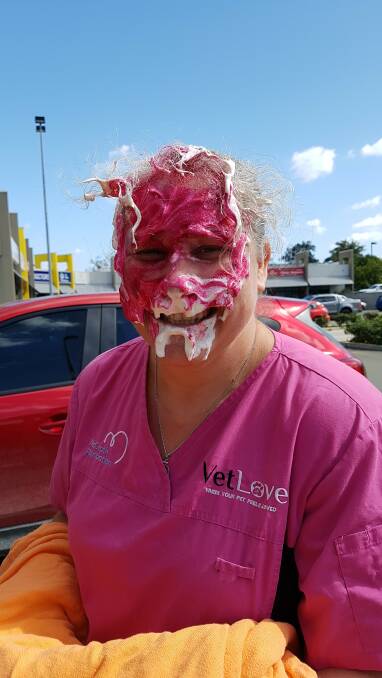PINK: Vet Love Jimboomba practice manager Lynette Hollis had a pie thrown at her face.