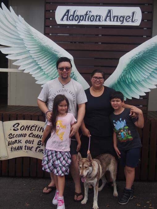 ANGELS: Charlotte, Will,  Michelle, and Ethan Parry have adopted nine-month-old husky cross Labrador Akirra. Photo: Logan Council