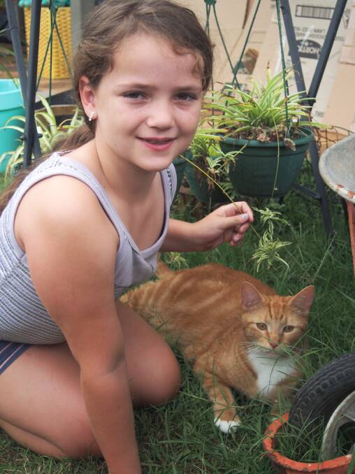Claire Hillard, 8, from Marsden with Casper the ginger tabby. Photo: Logan Council