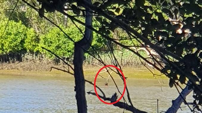 RIVER: A 31-year-old man swam in the Logan River for an hour in an attempt to evade police. Photo: Queensland Police Service