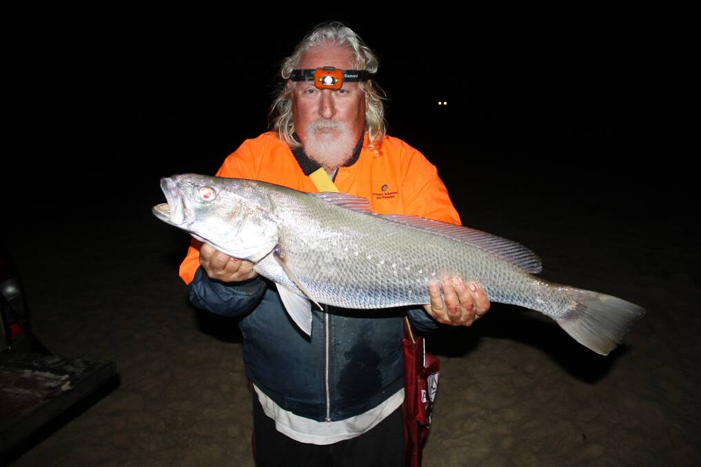 BEACH BEAUTY: Grahame Fellows with a surf mulloway caught on Fraser Island using pilchards for bait. Right now is your best chance to land a monster.