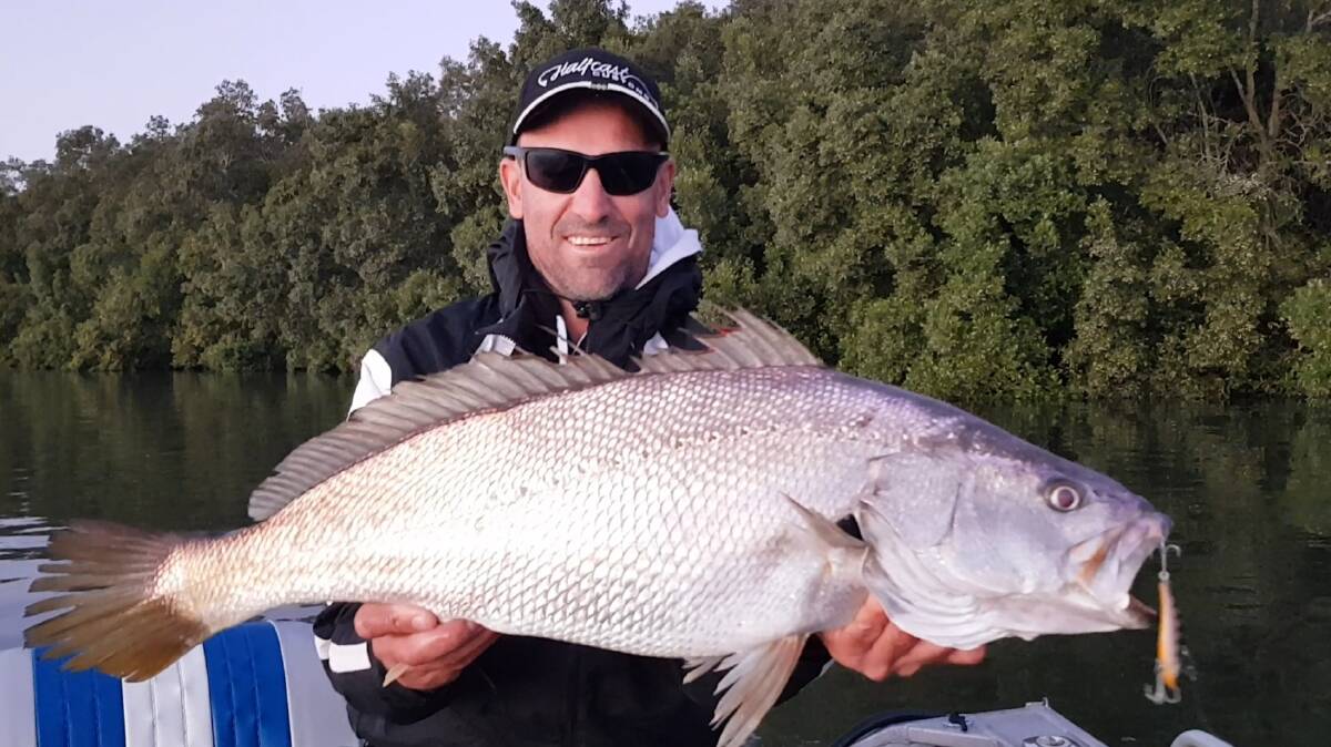 BEAUTY: Randy Keeble with a lure caught mulloway from the Brisbane River.