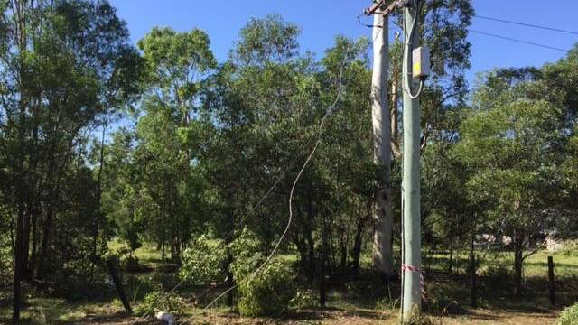 BLACKOUT: Homes in eight suburbs experienced a power outage for four-and-a-half hours yesterday after wildlife came into contact with a power line. 