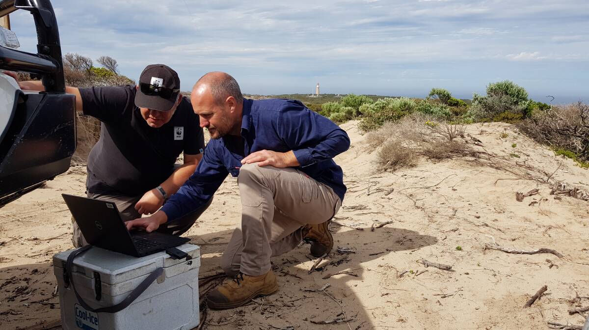 Darren Grover from WWF-Australia and Paul Jennings from Kangaroo Island Landscape Board install sensor cameras in Flinders Chase National Park. Picture: Supplied