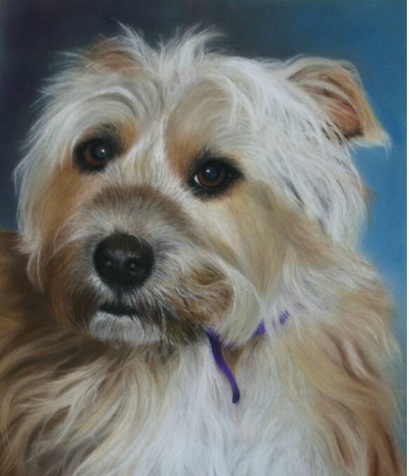 Loyal subject: Christine's own pet dog Shani has also had her portrait painted in pastel.