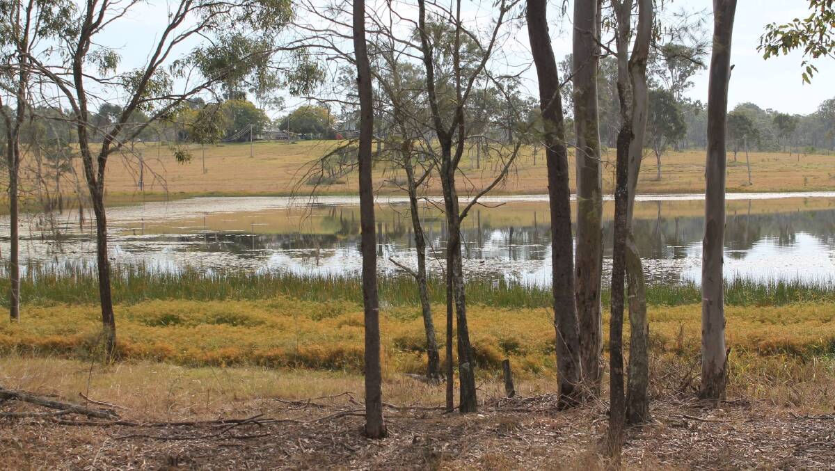 DRAINED: Greenbank agricultural dam will be emptied to make way for housing. Photo: Michael Burge