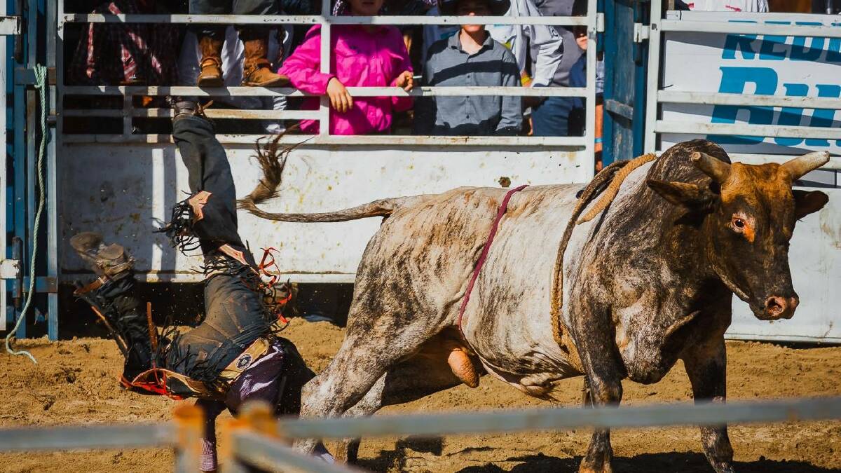 ACTION: Bull riders took centre stage at Grass Roots. Photos: Johan W Photography