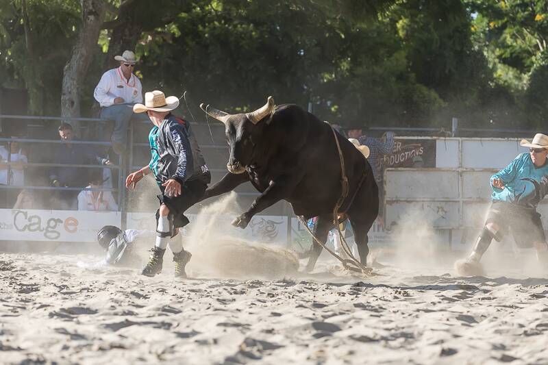 BEST OF THE BEST: Australia's top bullfighters will be on show at Grass Roots.