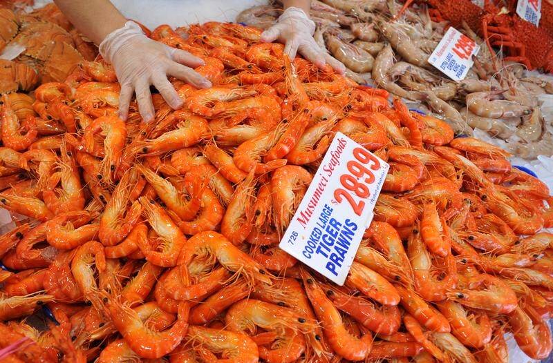 RIGHT STUFF: Buy only locally produced prawns for bait to help avoid the spread of white spot disease.