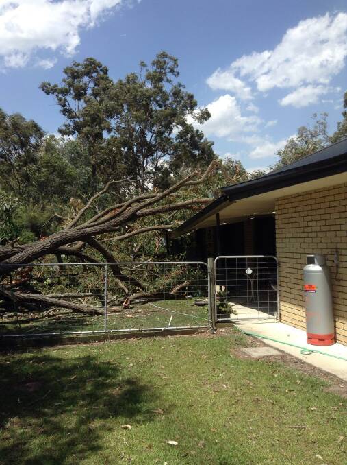 TREE DOWN: The tree across the patio at the Smith's New Beith home.