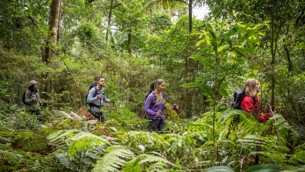 SUMMER WALK: Hikers on Spicers Retreats Scenic Rim Trail. Photo: Supplied.