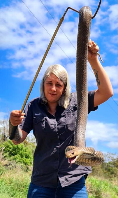 RECORD CATCH: The 1.9 metre snake was the largest Brooke Harrison has ever captured. Photo: Supplied