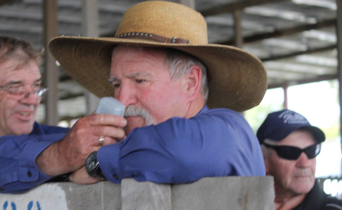 POSTPONED: Peter Hayes says the last Beaudesert pig and calf sale will now take place next Monday. Photo: Larraine Sathicq