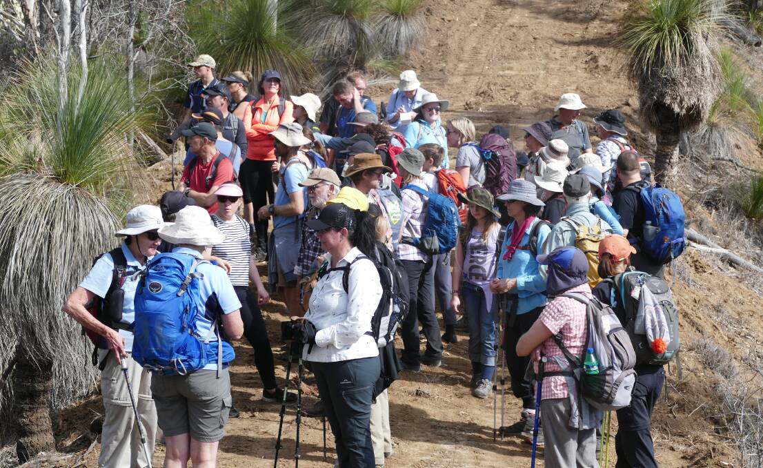 The annual Shepherds Walk attracted scores of visitors to the Scenic Rim.