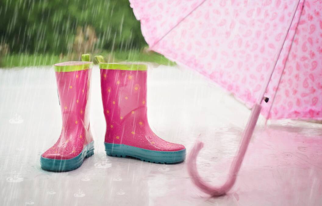 RAIN: Keep your umbrellas handy for storms predicted for Scenic Rim this afternoon and evening.