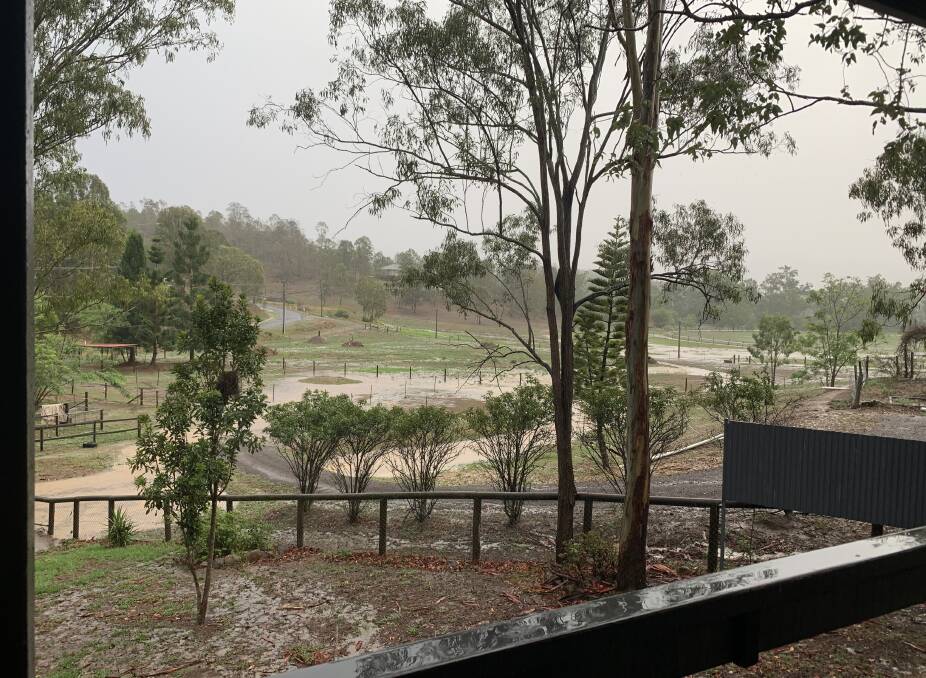DOWNPOUR: Kooralbyn residents woke up this morning to a pleasant surprise. Photo: Larraine Sathicq