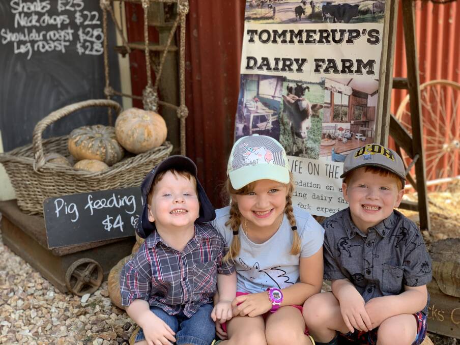 BUY FROM THE BUSH: Nathaniel Wilson, 2, Mikayla Wilson, 6, and Reuben Wilson, 4 from Ipswich at last year's event. Photo: Larraine Sathicq