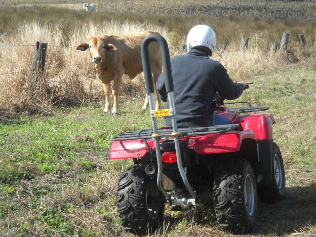 Quad bikes a safety issue.